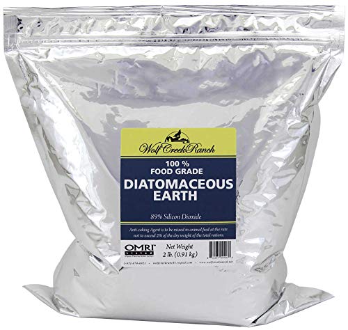 2lb Bag Food Grade Diatomaceous Earth J393503