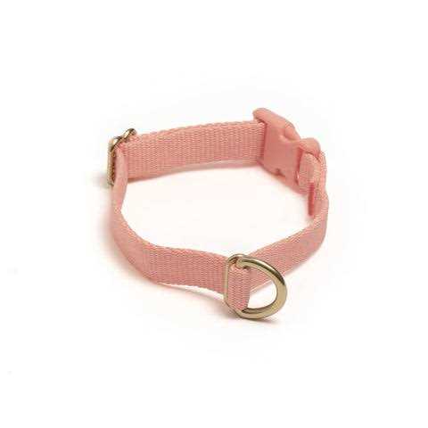 Standard Dog Collar D710