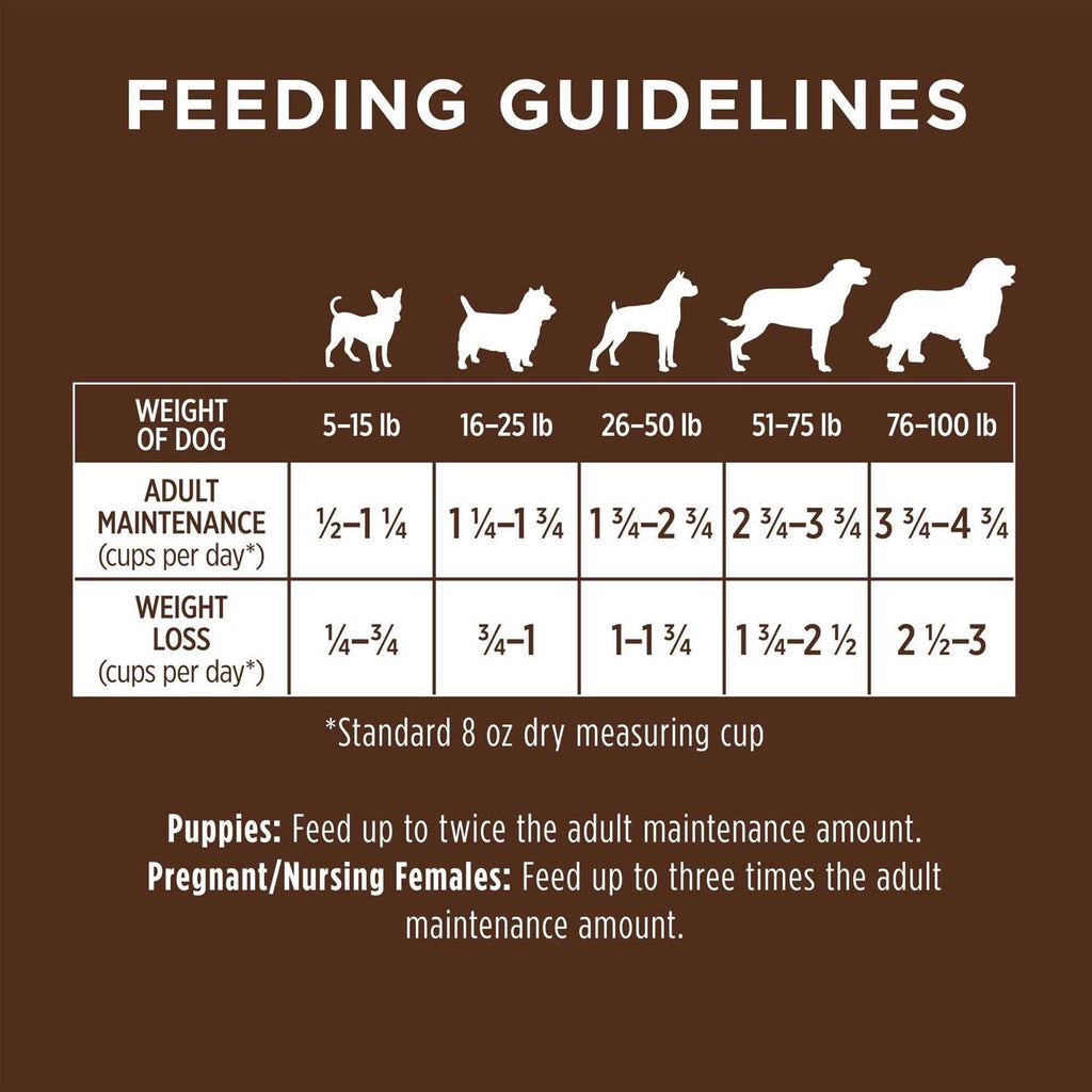 Chicken & Brown Rice Recipe Dry Dog Food Q587