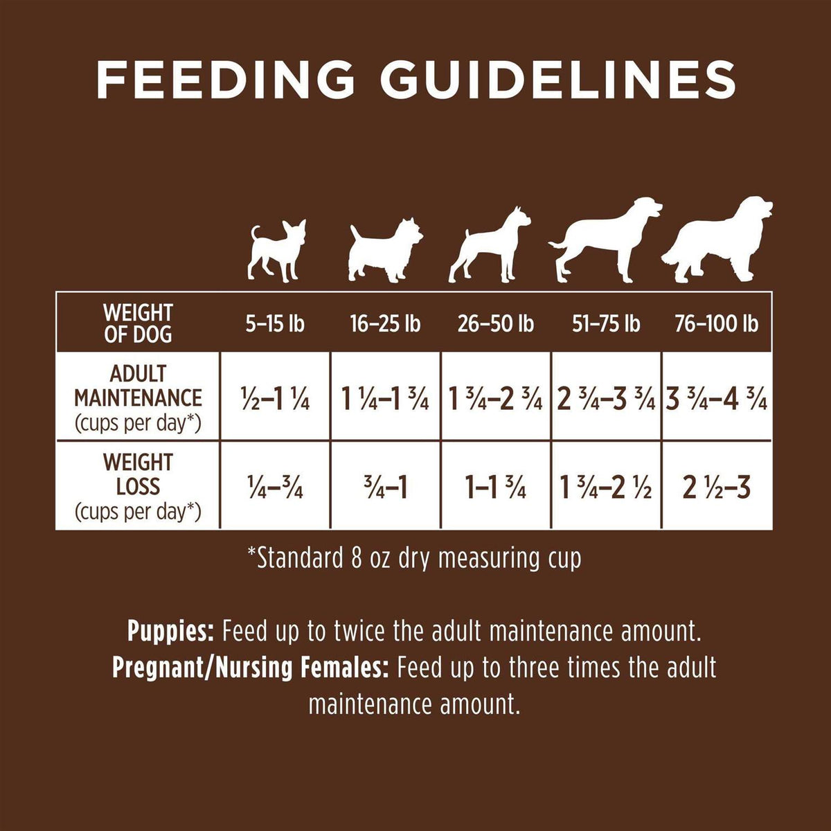 Chicken & Brown Rice Recipe Dry Dog Food Q587
