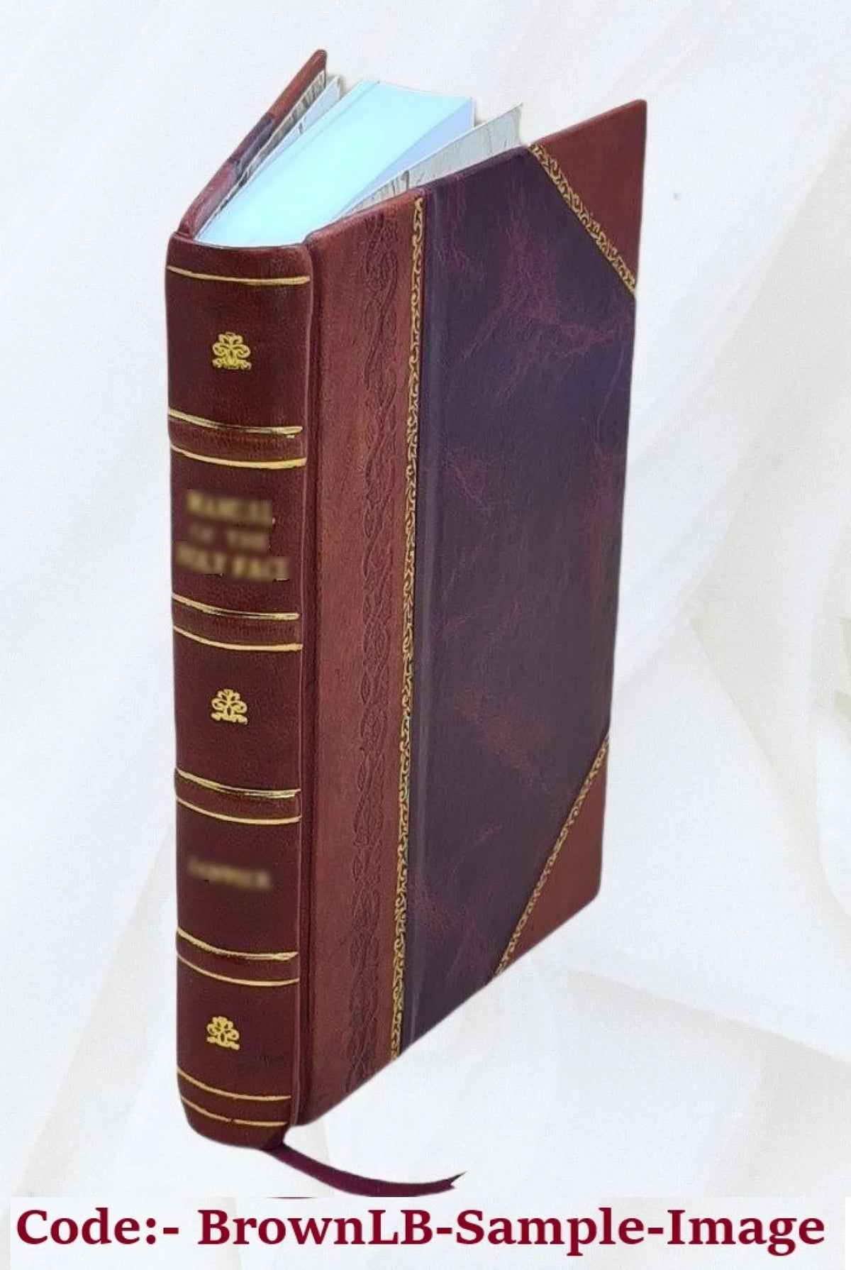 The Hutted Knoll Tale Leather Bound L388092