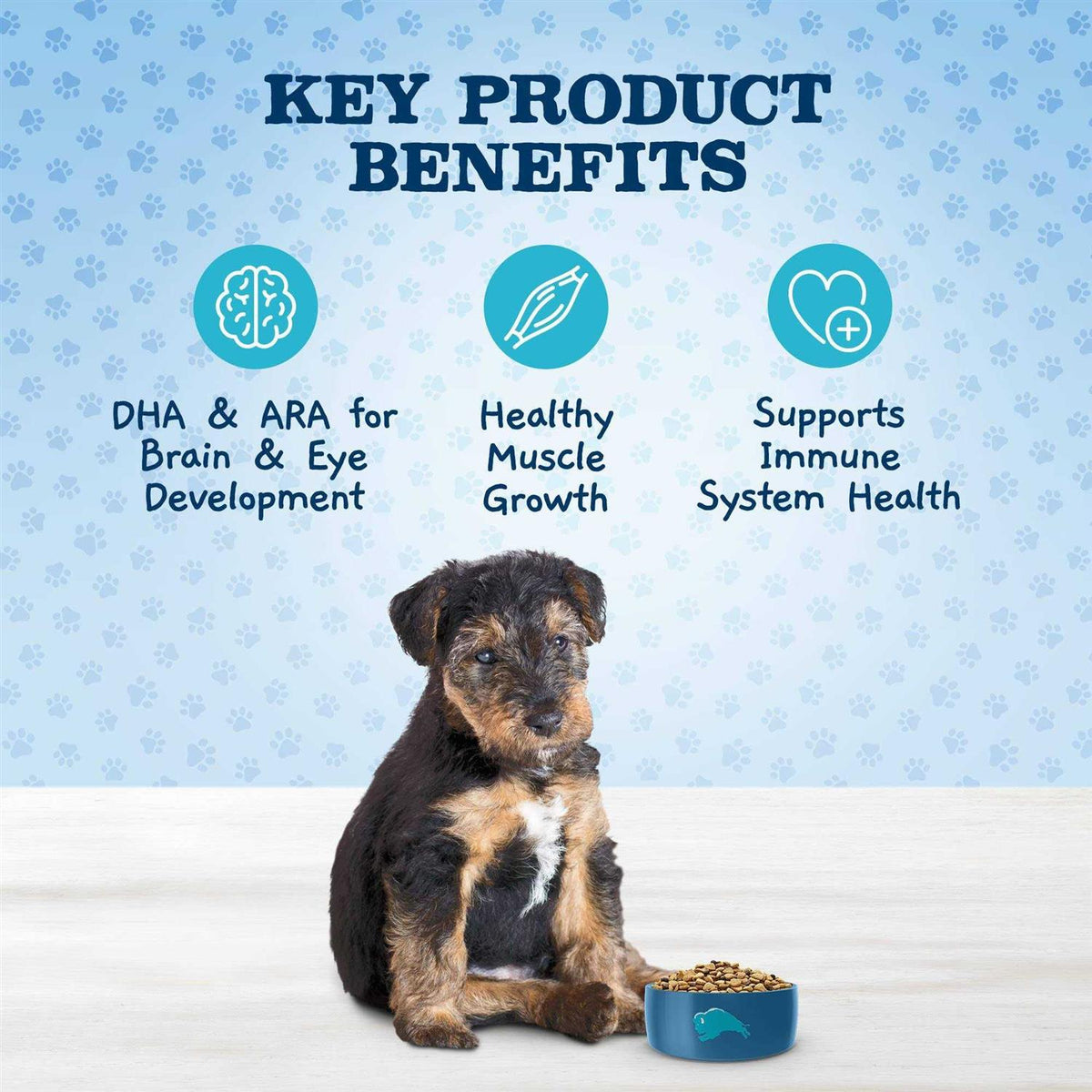 Chicken and Brown Rice Puppy Dry Dog Food I46029