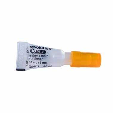 Orange for Cats 5.6 to 11 lb (1 month) Z370