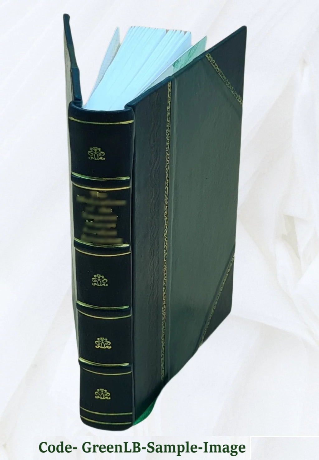The Hutted Knoll Tale Leather Bound L388092