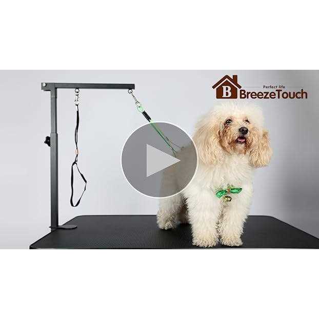Dog Grooming Table Arm with Clamp and Post D974010