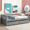 Gray Twin Daybed with 2 Storage Drawers Q31181