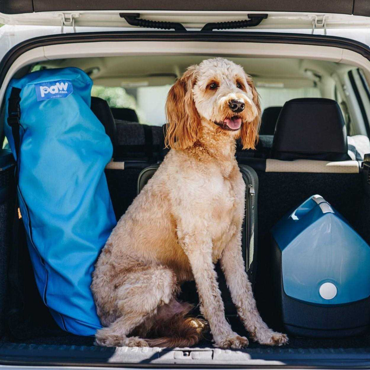 White Portable Orthopedic Dog Bed S6024