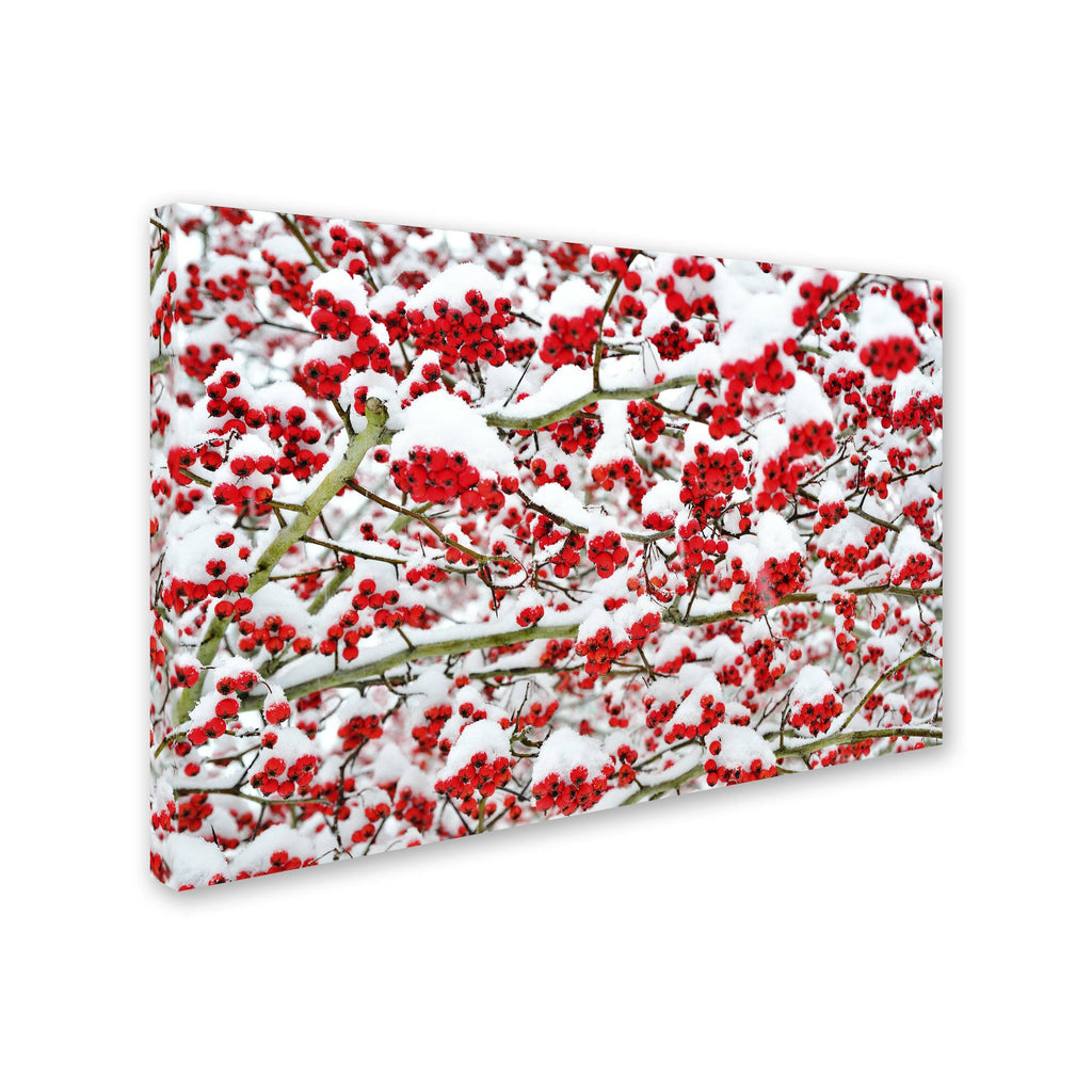 Canvas Art X153