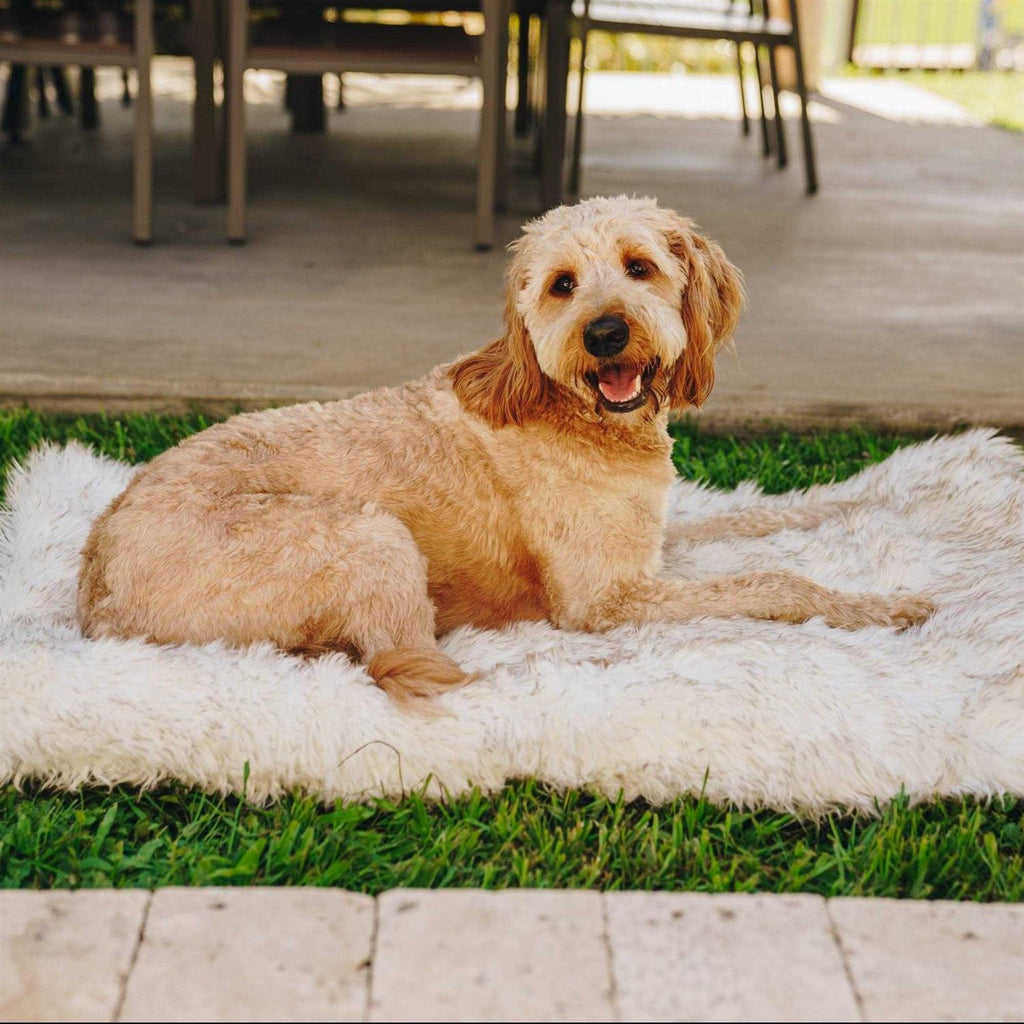 White Portable Orthopedic Dog Bed S6024