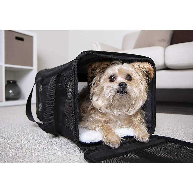 Travel Pet Carrier M24971