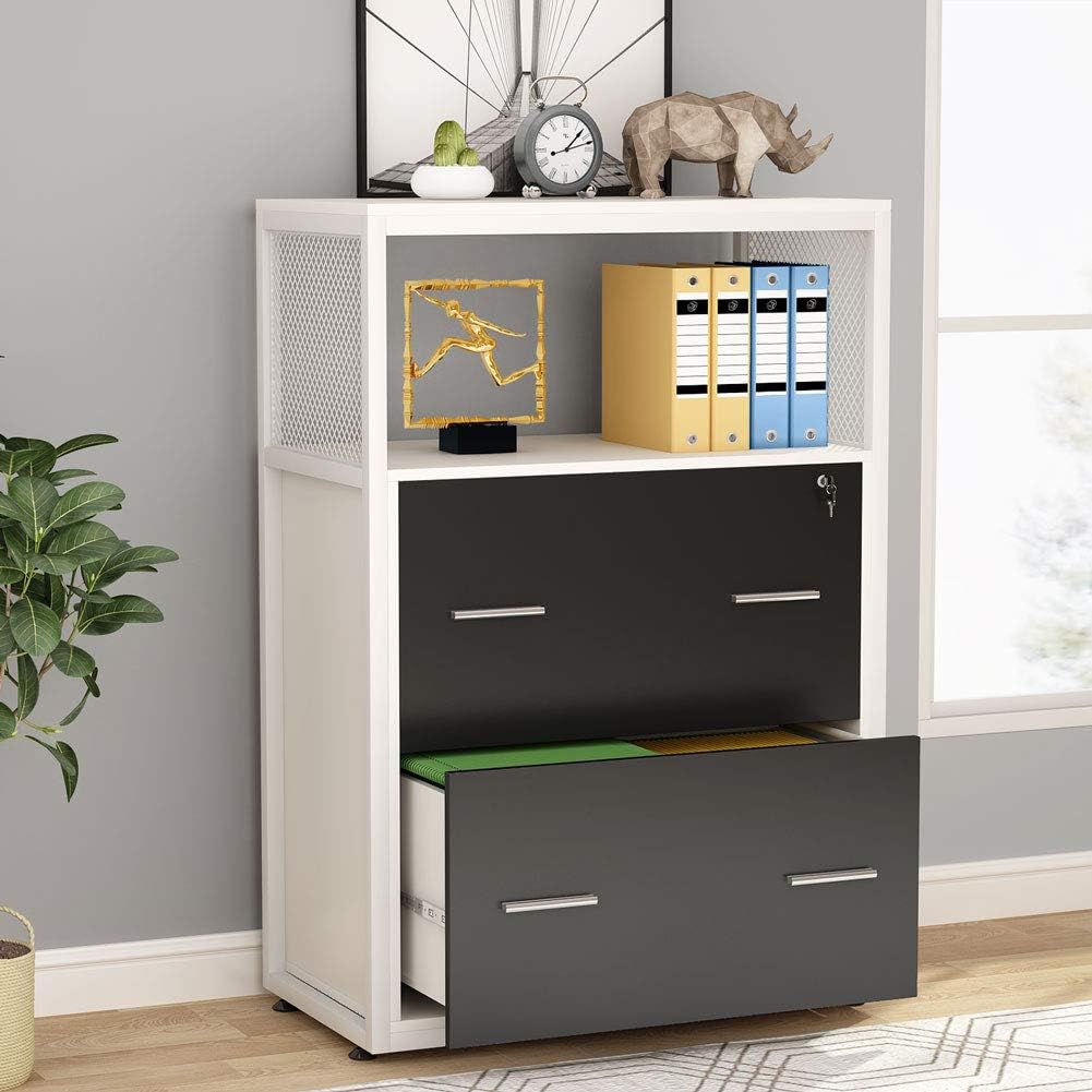 2 Drawer Lateral File Cabinet with Lock J30380