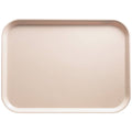 Rectangular Tray Q53350