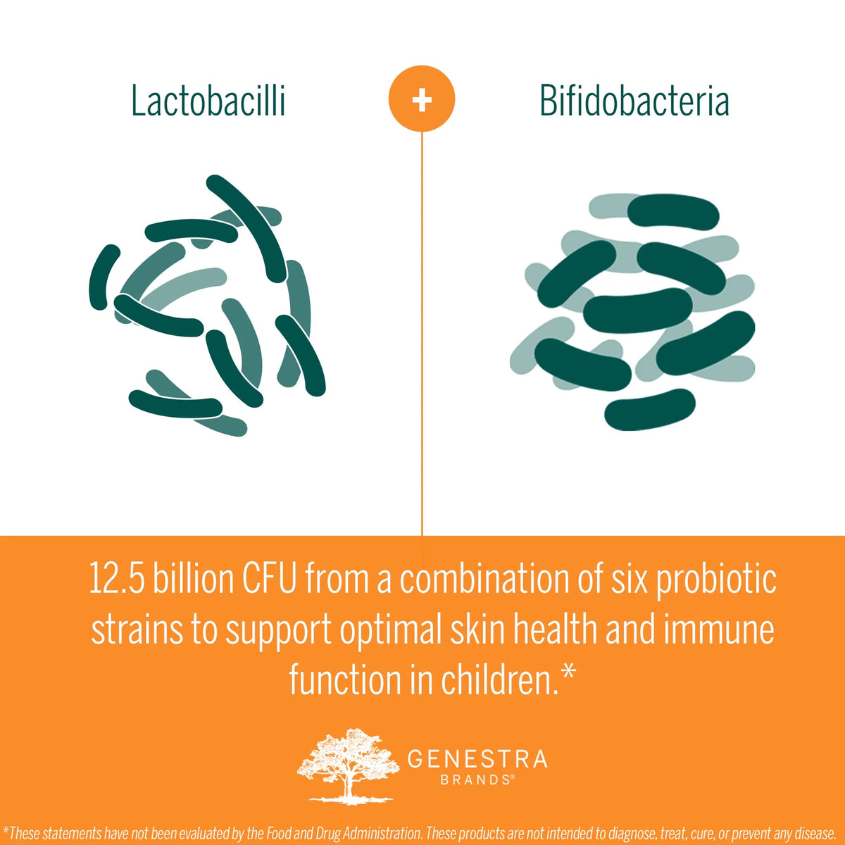 Probiotic Chewable Tablets Blackcurrant Flavor C6016