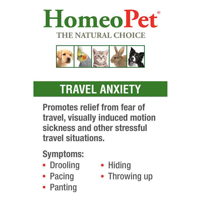 Travel Anxiety N455