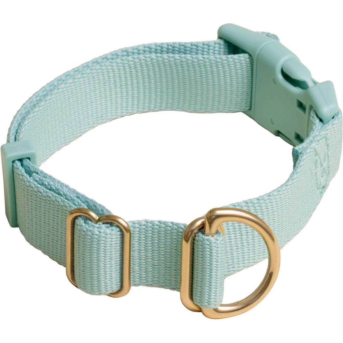 Standard Dog Collar D710