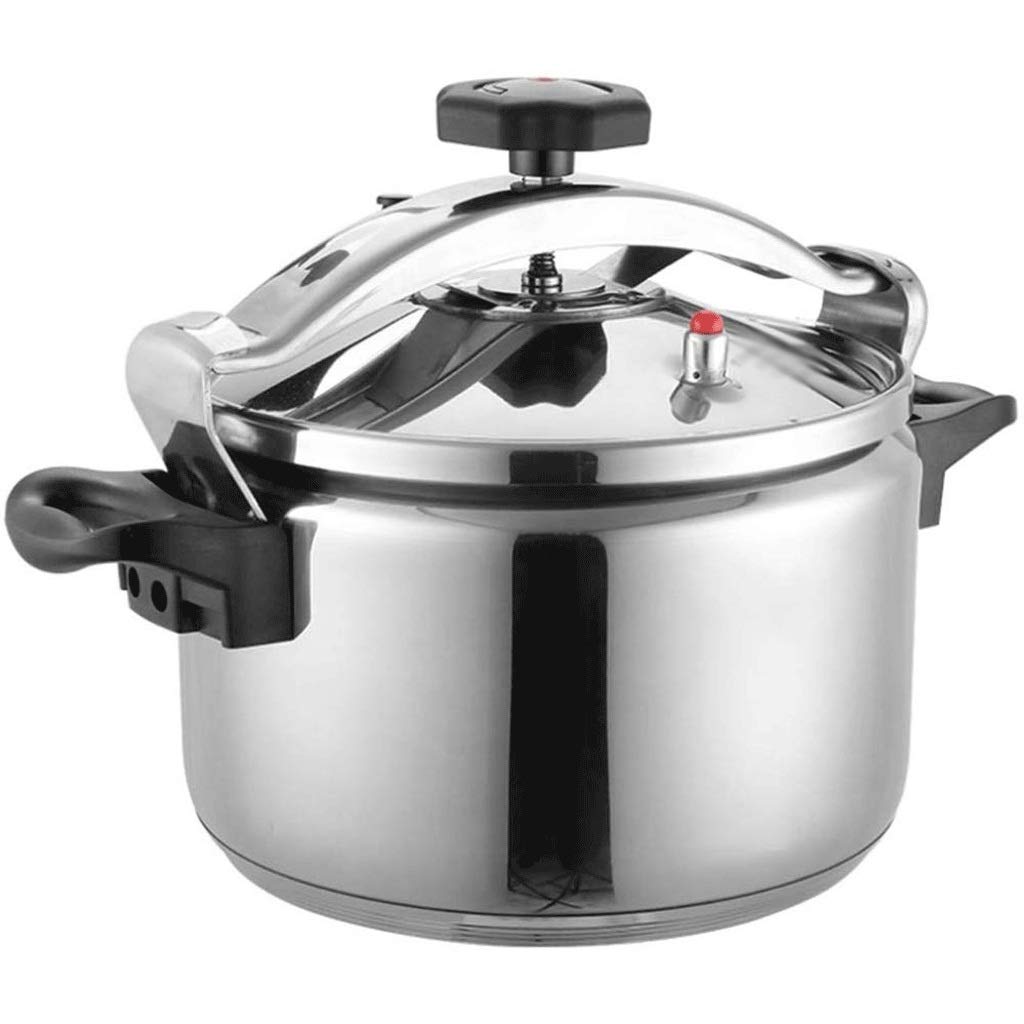 Stainless Steel 3L Electric Pressure Cooker C2107