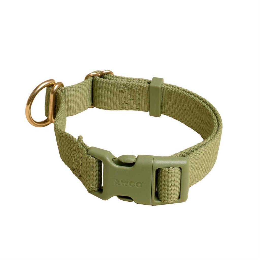 Standard Dog Collar D710