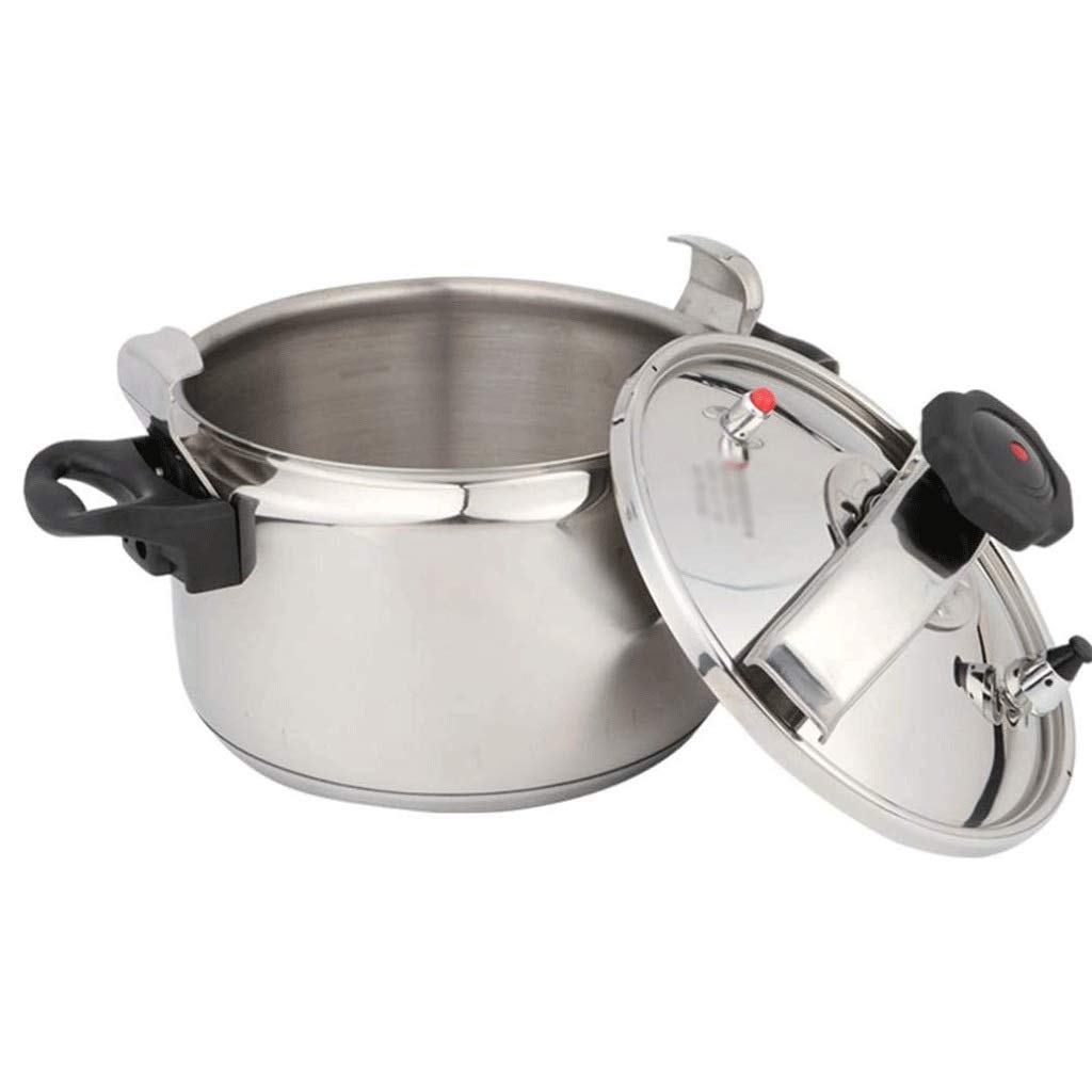 Stainless Steel 3L Electric Pressure Cooker C2107