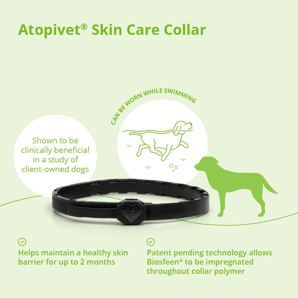 Dog Collar 29" W8575