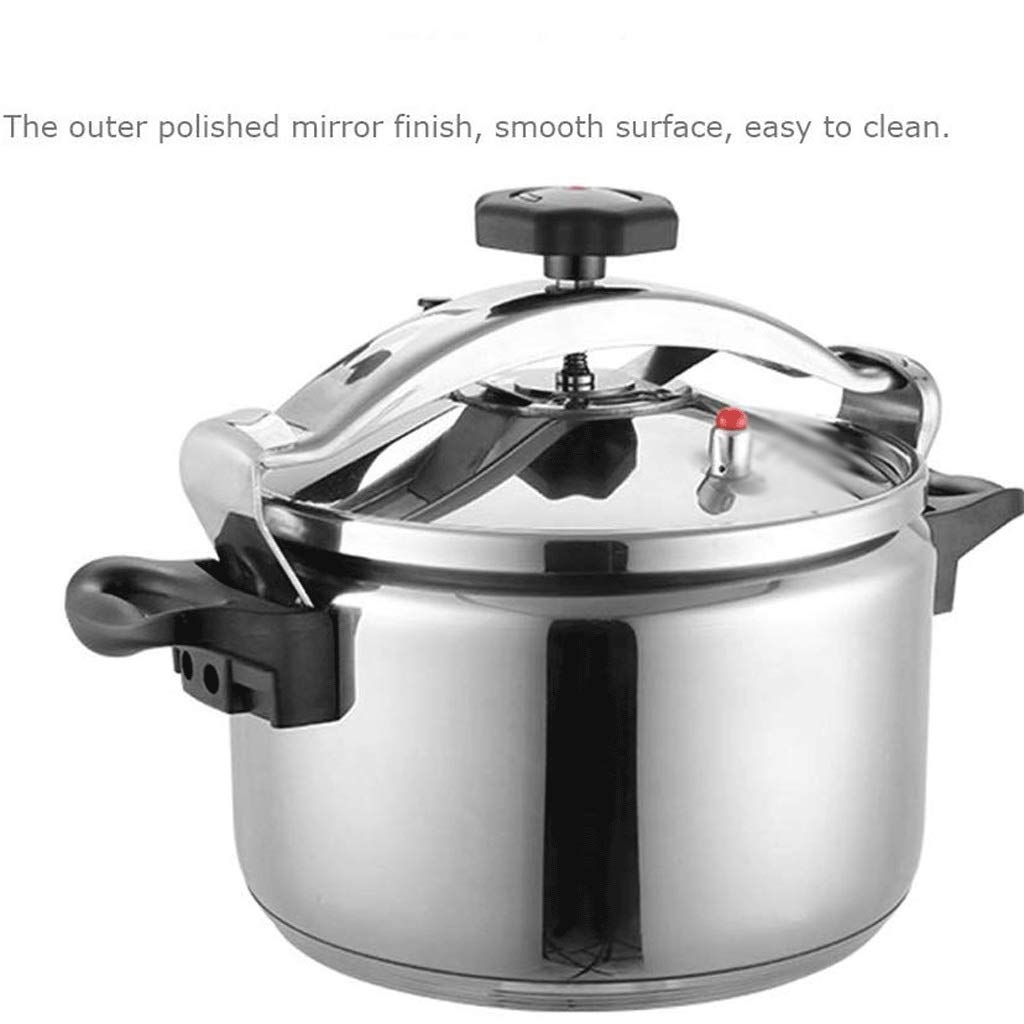 Stainless Steel 3L Electric Pressure Cooker C2107