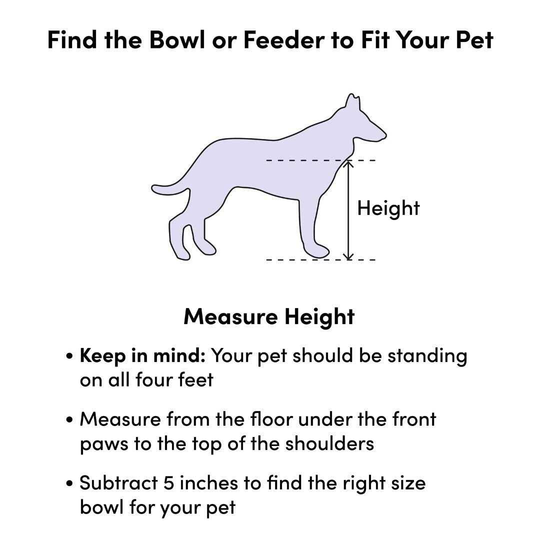 Programmable Pet Food Dispenser N5773