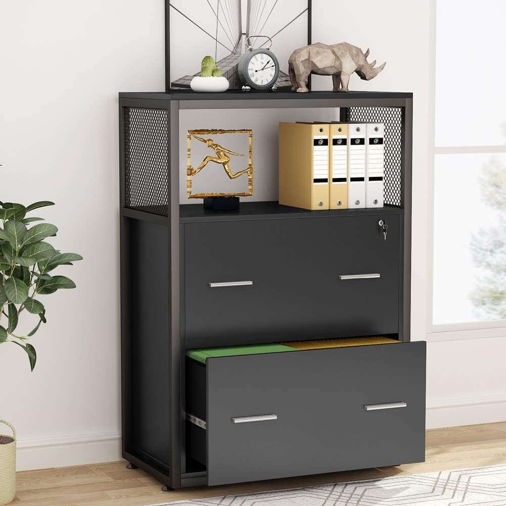 2 Drawer Lateral File Cabinet with Lock J30380