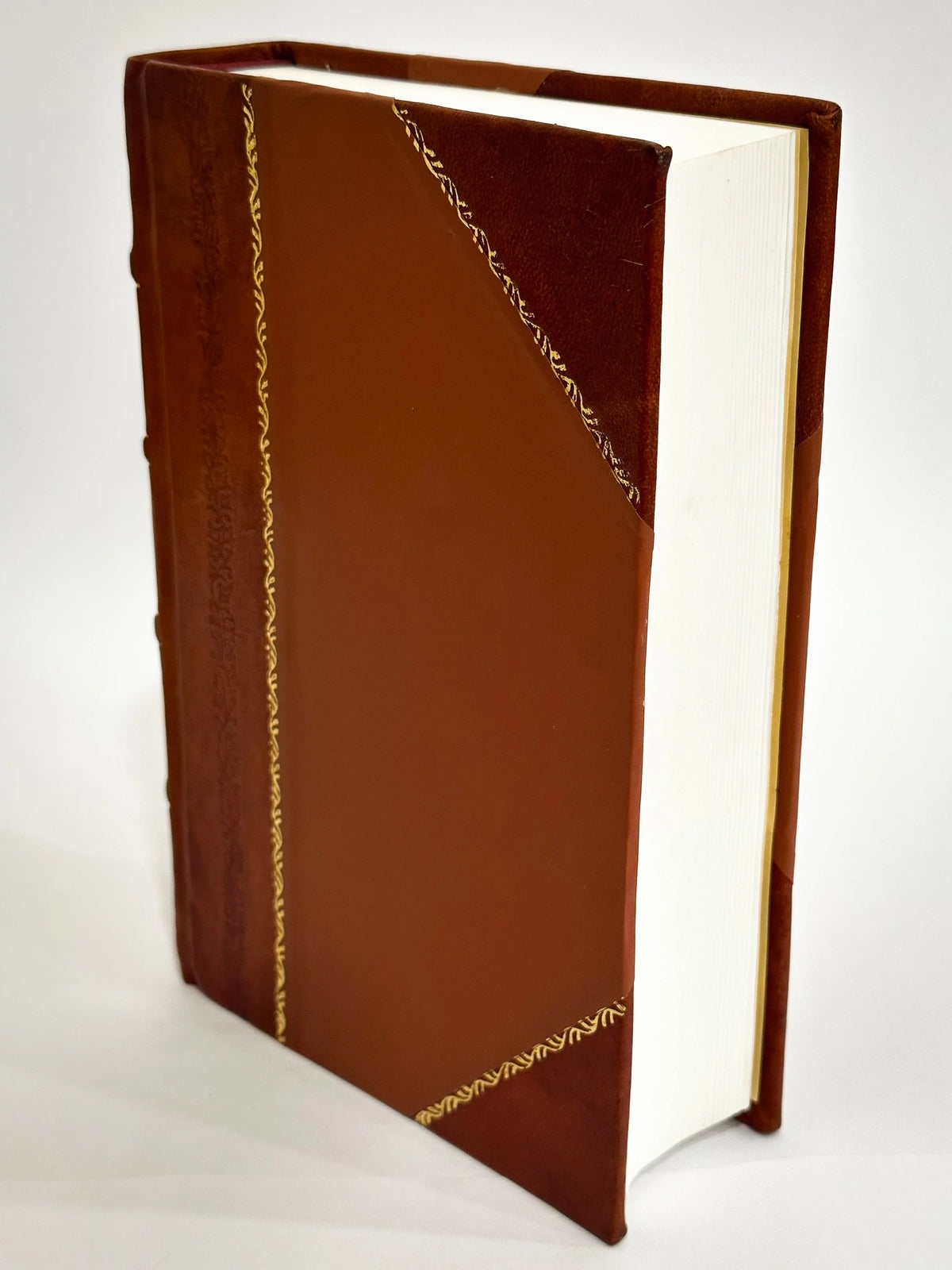 CuriositeS De Paris, De Versailles, Marly, Vincennes, Saint-Cloud, Et Des Environs Volume 1 Leather Bound W41094