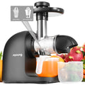 Slow Masticating Cold Press Juicer T854742