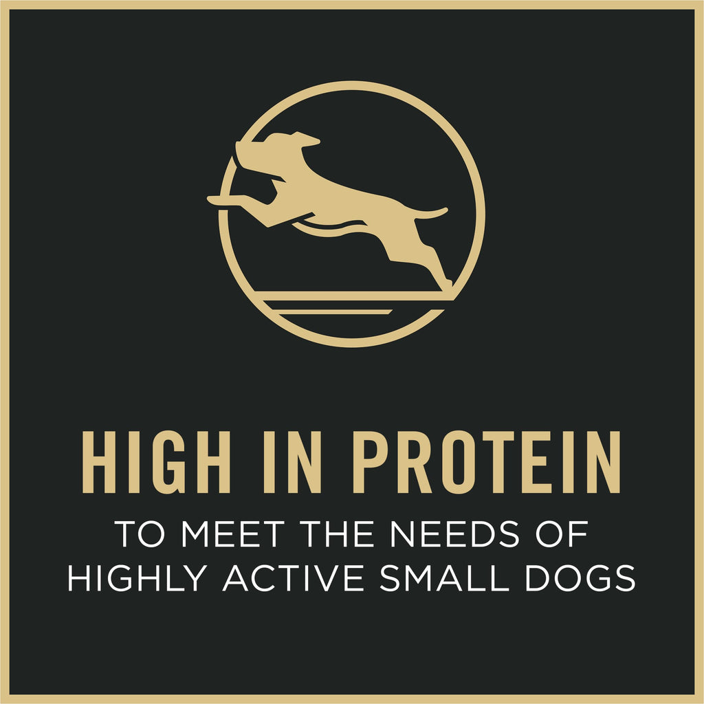 Small Breed Dry Dog Food 6 lb Bag D8546