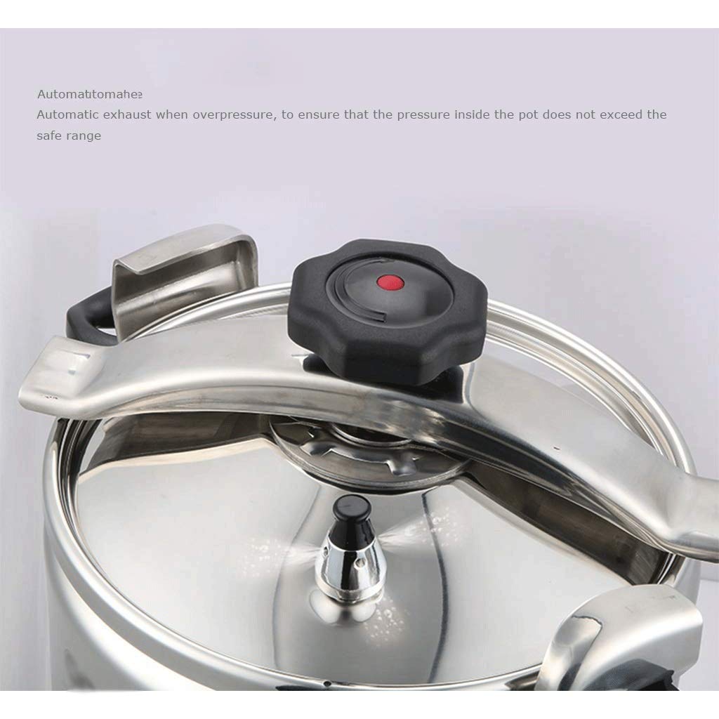 Stainless Steel 3L Electric Pressure Cooker C2107