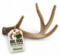 Natural Antler Dog Chew Q60384