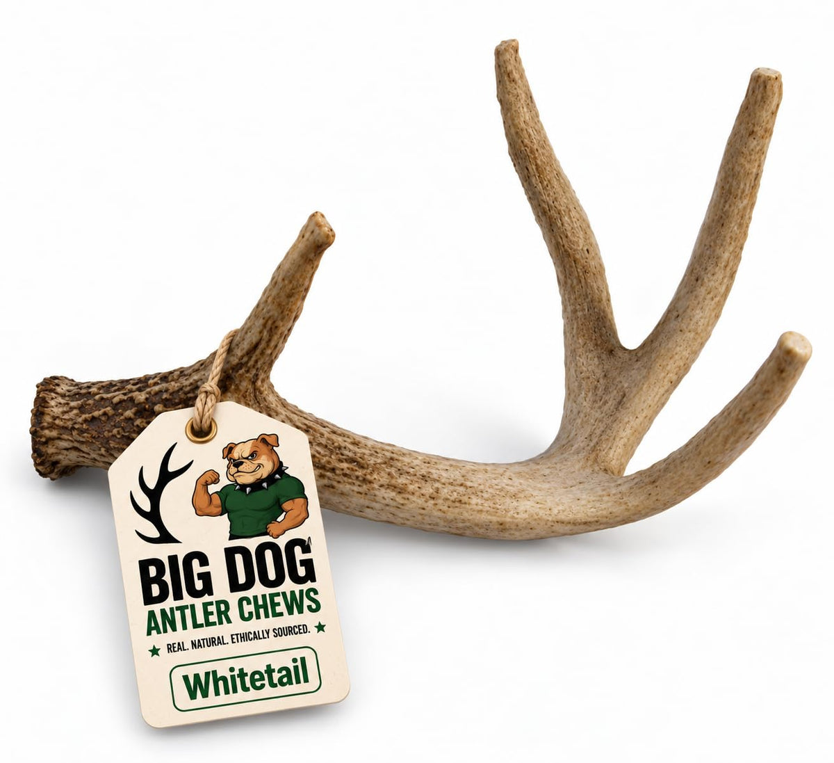 Natural Antler Dog Chew Q60384