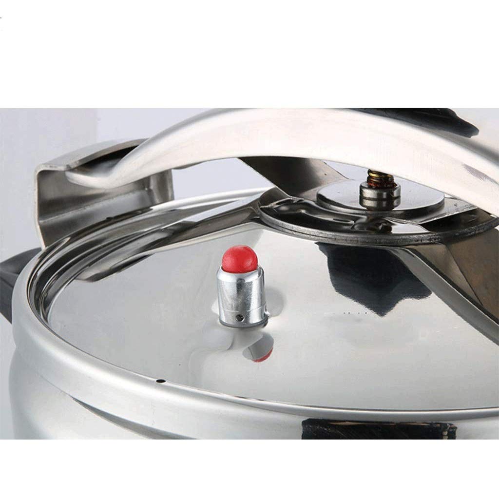 Stainless Steel 3L Electric Pressure Cooker C2107