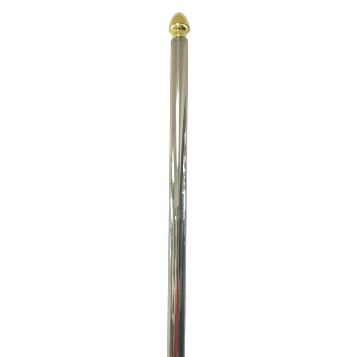 Heavy Duty Parade Flag Pole W97102
