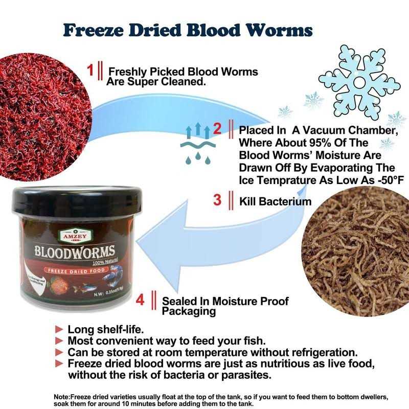 Freeze Dried Blood Worms Fish Food X304833
