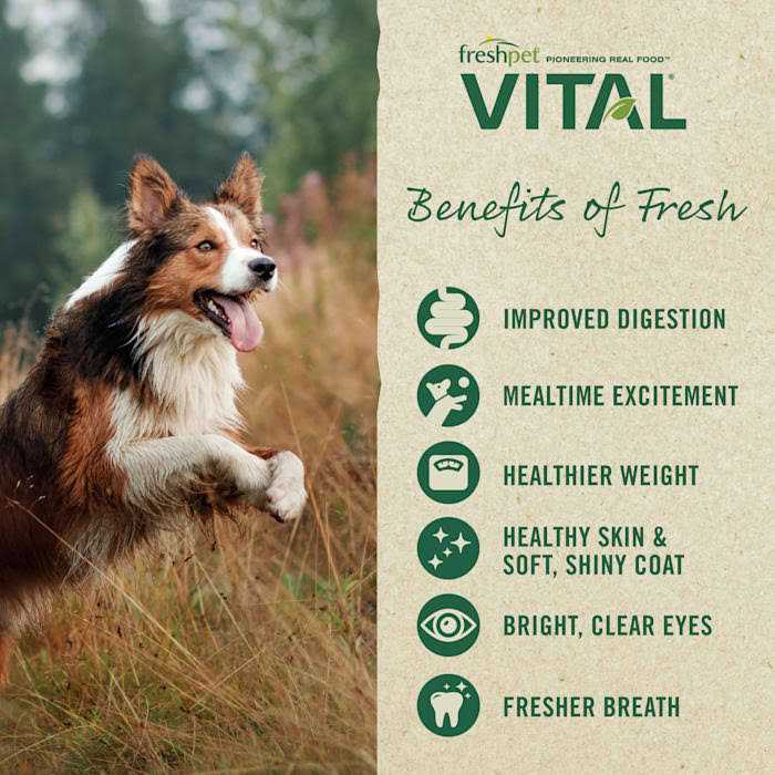 Grain-Free Chicken Fresh Small Breed Dog Food A312750
