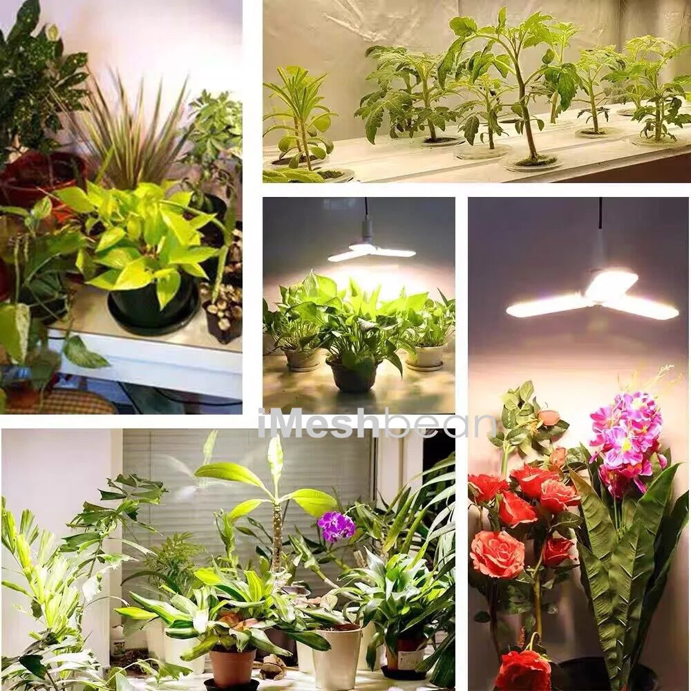 24"x24"x55" Grow Tent Kit with LED Grow Light & Inline Fan O817980
