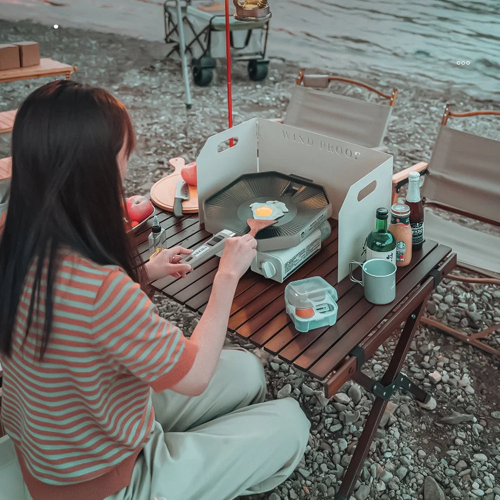 Portable Butane Camping Stove T94227