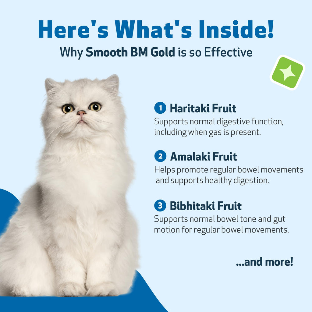4 oz Cat Bowel Support O68903