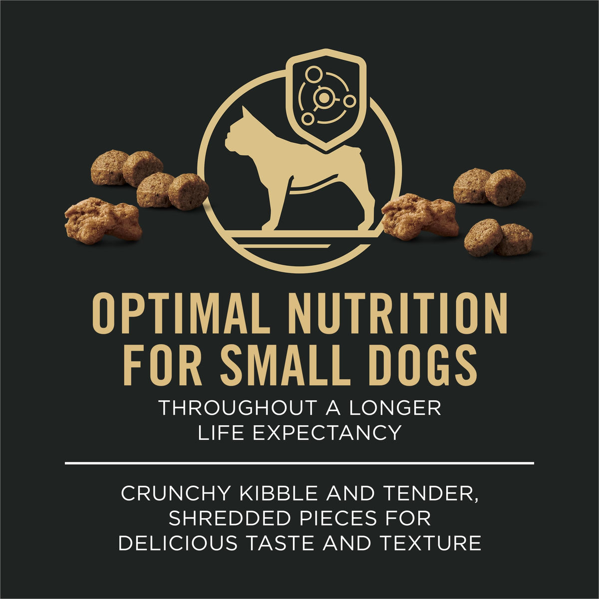 Small Breed Dry Dog Food 6 lb Bag D8546
