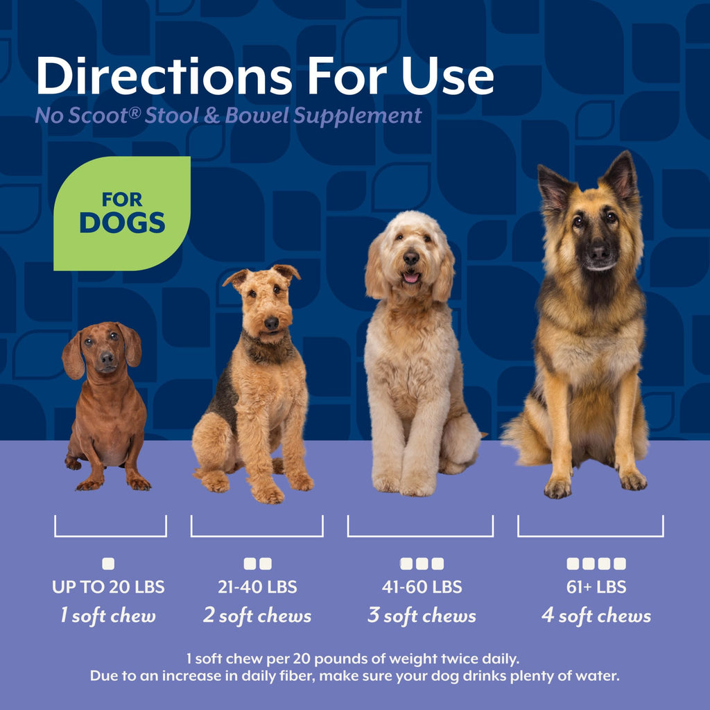 Dog Stool and Bowel Supplement 60 Soft Chews P6201