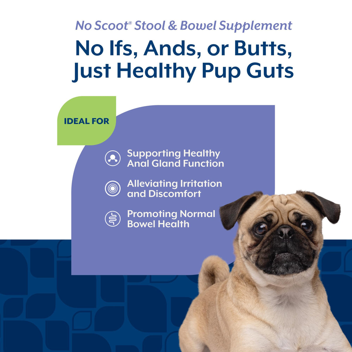 Dog Stool and Bowel Supplement 60 Soft Chews P6201