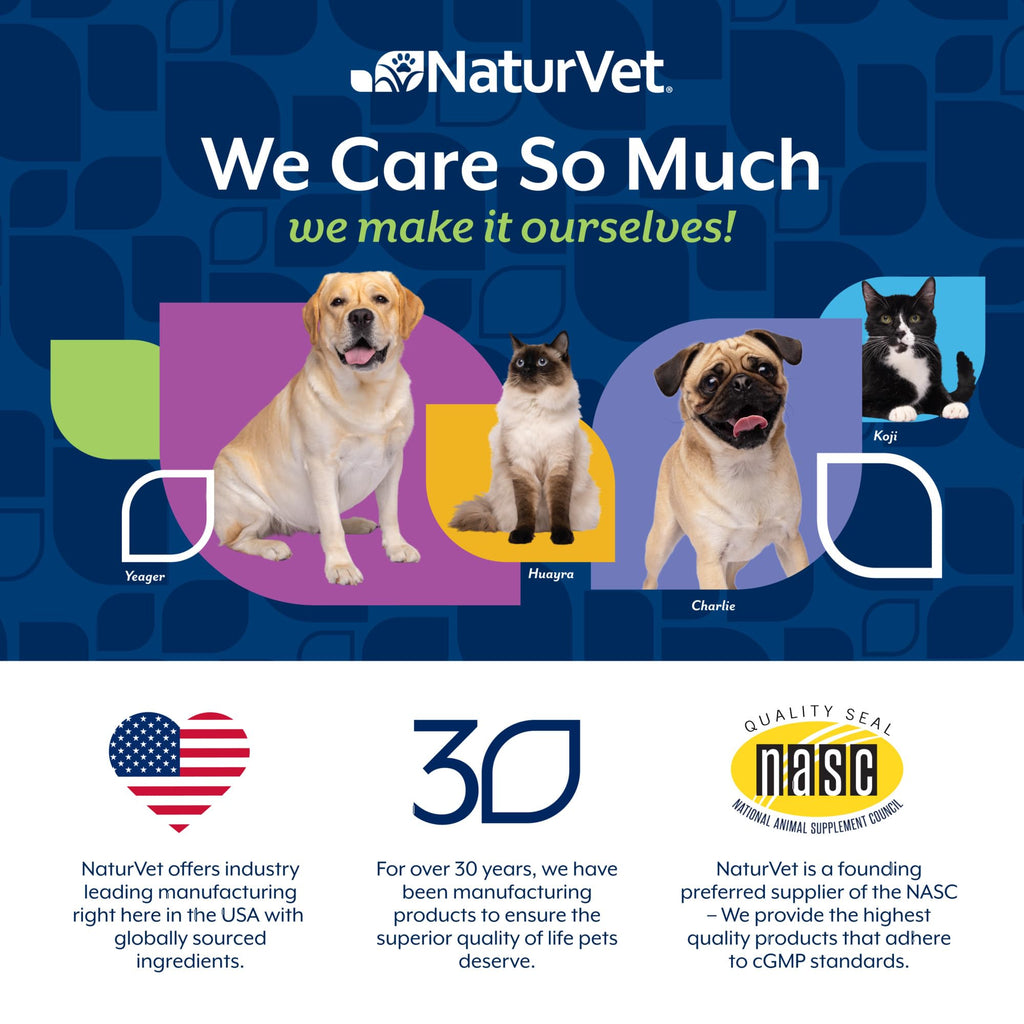 Dog Stool and Bowel Supplement 60 Soft Chews P6201
