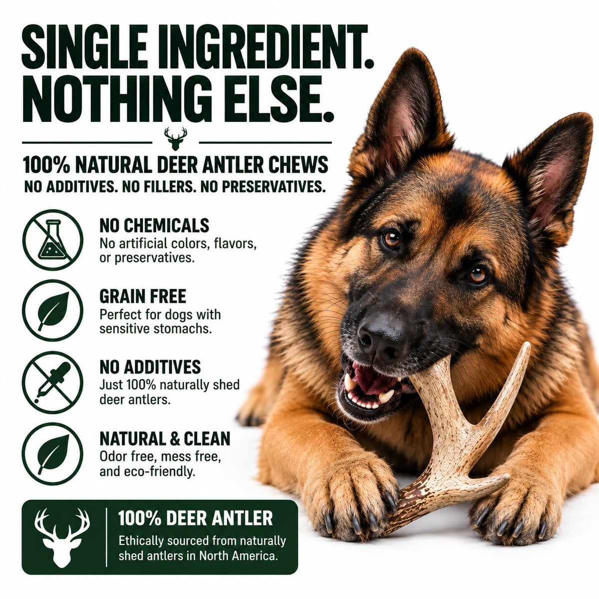 Natural Antler Dog Chew Q60384