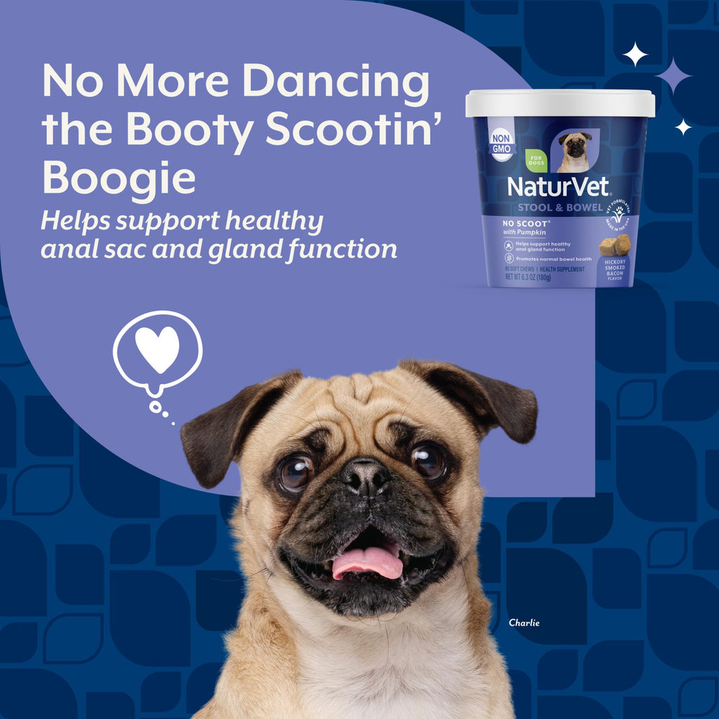 Dog Stool and Bowel Supplement 60 Soft Chews P6201