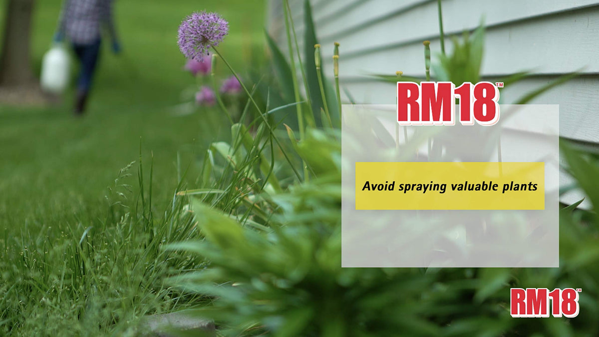 Fast-Acting Weed & Grass Killer Herbicide Spray 1-gallon Y69012