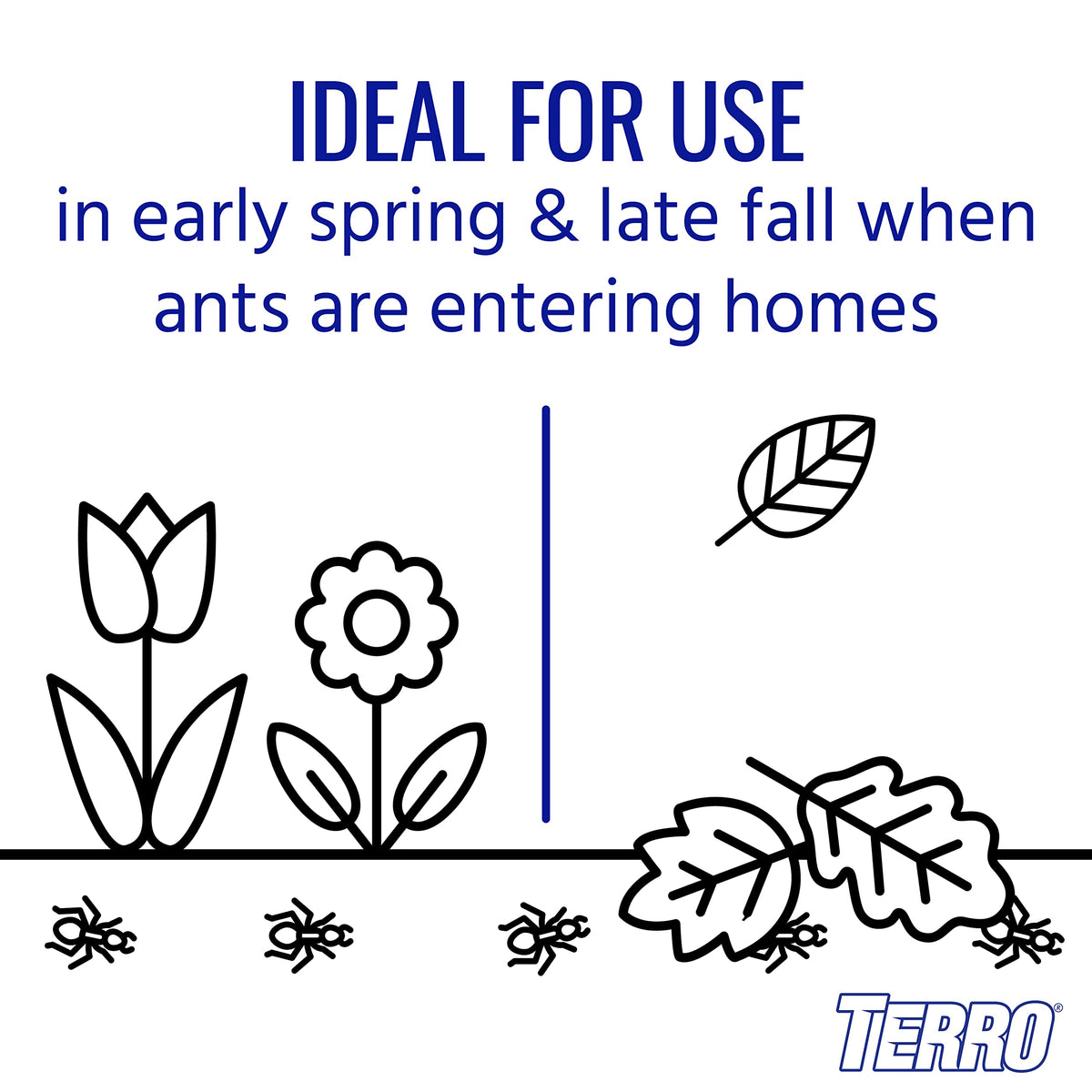 Outdoor Ant Killer Spray D27627
