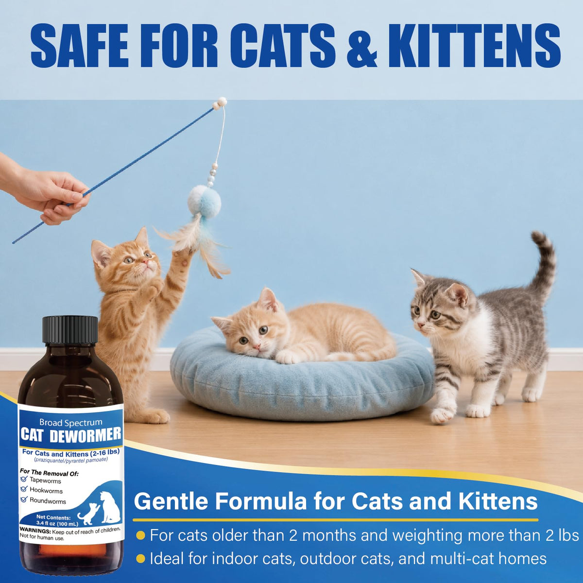 Cat Dewormer Liquid 100 mL with Oral Syringe A44945