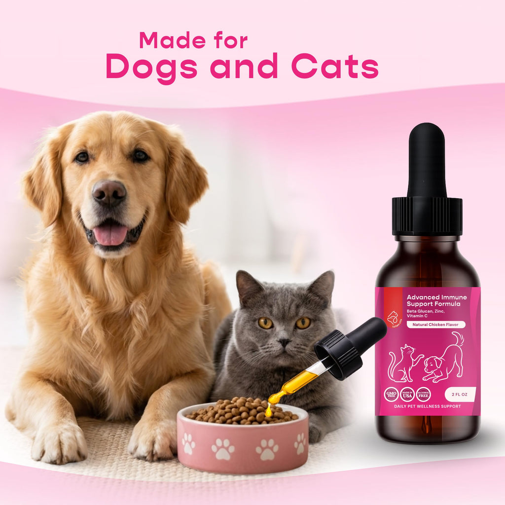 Liquid Pet Supplement with Astragalus, Elderberry, Echinacea & Beta Glucan, 2 fl oz U91841