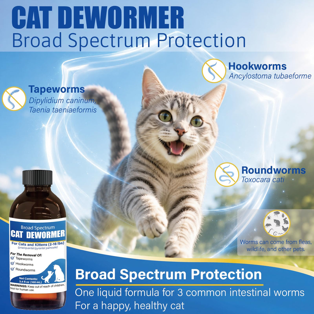 Cat Dewormer Liquid 100 mL with Oral Syringe A44945